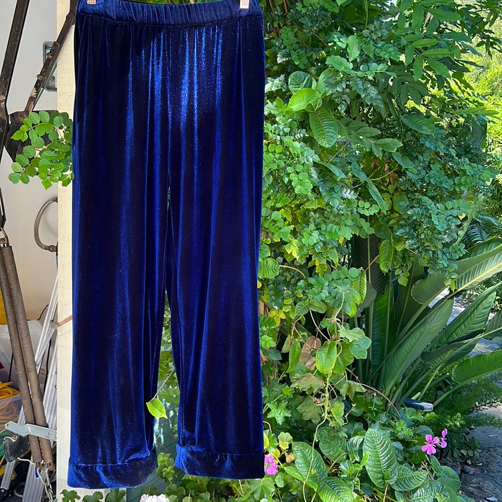 Holiday velvet pants in super royal blue! trendy boutique designer W ATE R